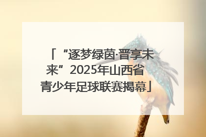 “逐梦绿茵·晋享未来”2025年山西省青少年足球联赛揭幕