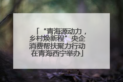 “青海源动力，乡村焕新程”央企消费帮扶聚力行动在青海西宁举办