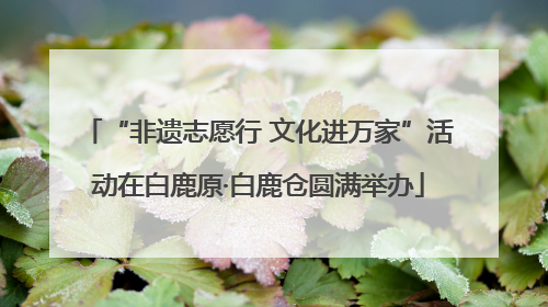 “非遗志愿行 文化进万家”活动在白鹿原·白鹿仓圆满举办