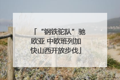 “钢铁驼队”驰欧亚 中欧班列加快山西开放步伐