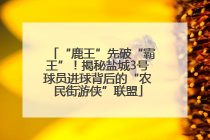 “鹿王”先破“霸王”！揭秘盐城3号球员进球背后的“农民街游侠”联盟