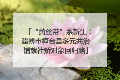 “黄丝带”系新生：淄博市桓台县多元共治铺就社矫对象回归路