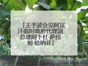 王予波会见阿富汗临时政府代理副总理阿卜杜·萨拉姆·哈纳菲