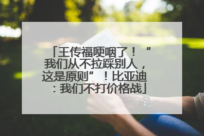 王传福哽咽了！“我们从不拉踩别人，这是原则”！比亚迪：我们不打价格战
