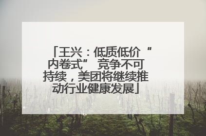 王兴：低质低价“内卷式” 竞争不可持续，美团将继续推动行业健康发展