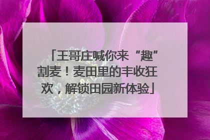 王哥庄喊你来“趣”割麦！麦田里的丰收狂欢，解锁田园新体验