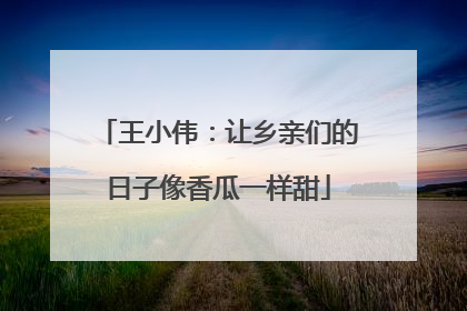 王小伟：让乡亲们的日子像香瓜一样甜