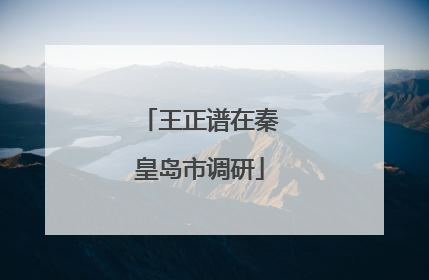 王正谱在秦皇岛市调研
