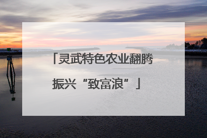 灵武特色农业翻腾振兴“致富浪”