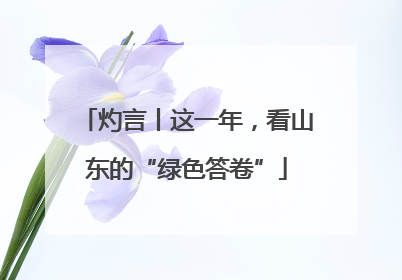 灼言丨这一年，看山东的“绿色答卷”