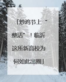 炒鸡节上“整活”！临沂这所新高校为何如此出圈