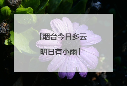 烟台今日多云 明日有小雨