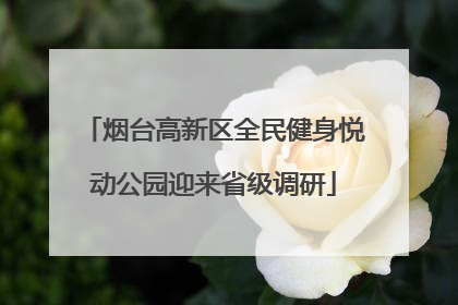 烟台高新区全民健身悦动公园迎来省级调研