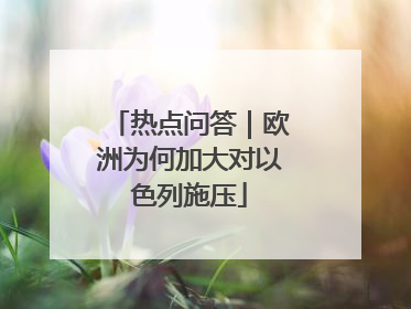 热点问答｜欧洲为何加大对以色列施压