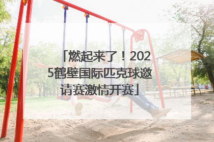 燃起来了！2025鹤壁国际匹克球邀请赛激情开赛