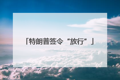 特朗普签令“放行”