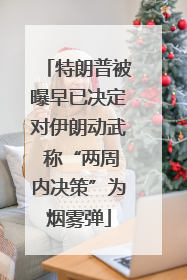 特朗普被曝早已决定对伊朗动武 称“两周内决策”为烟雾弹