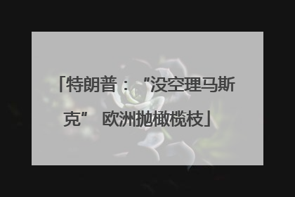 特朗普：“没空理马斯克” 欧洲抛橄榄枝