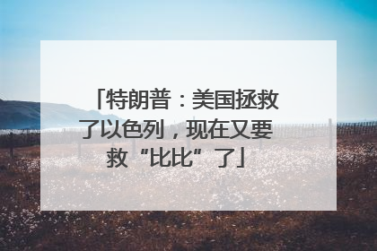 特朗普：美国拯救了以色列，现在又要救“比比”了