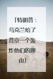 特朗普：乌克兰给了普京一个轰炸他们的理由