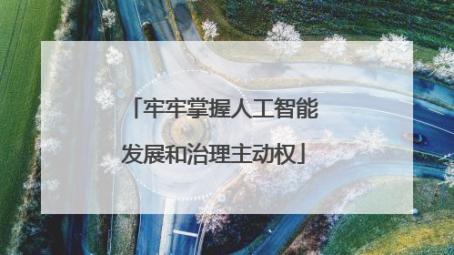 牢牢掌握人工智能发展和治理主动权