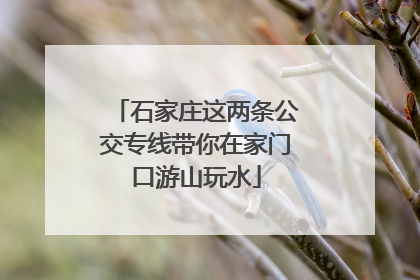 石家庄这两条公交专线带你在家门口游山玩水