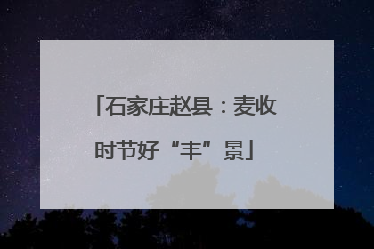 石家庄赵县：麦收时节好“丰”景