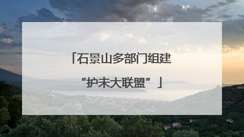 石景山多部门组建“护未大联盟”