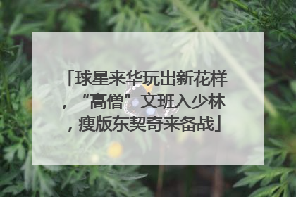 球星来华玩出新花样，“高僧”文班入少林，瘦版东契奇来备战