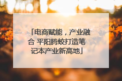电商赋能，产业融合 平阳腾蛟打造笔记本产业新高地