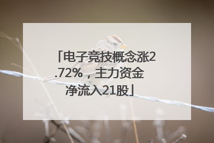 电子竞技概念涨2.72%，主力资金净流入21股