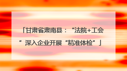 甘肃省肃南县：“法院+工会”深入企业开展“精准体检”