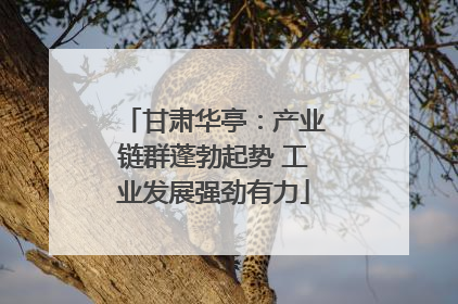 甘肃华亭：产业链群蓬勃起势 工业发展强劲有力