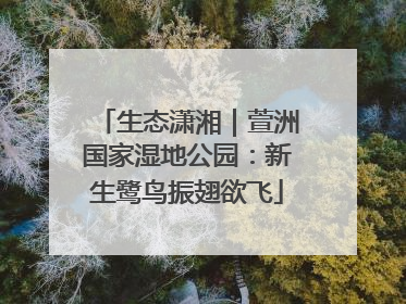 生态潇湘｜萱洲国家湿地公园：新生鹭鸟振翅欲飞