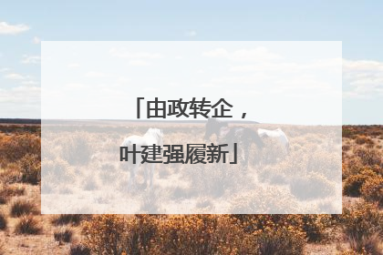 由政转企，叶建强履新