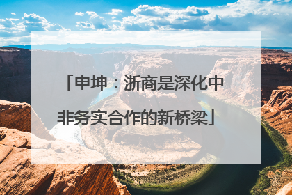 申坤：浙商是深化中非务实合作的新桥梁
