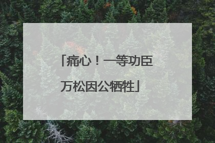 痛心！一等功臣万松因公牺牲