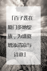 百子莲在厦门多地绽放，为盛夏增添清凉与诗意