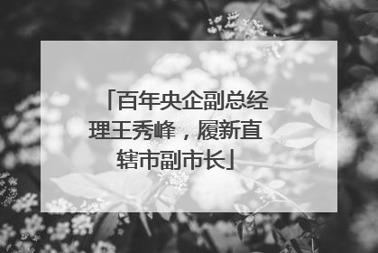 百年央企副总经理王秀峰，履新直辖市副市长