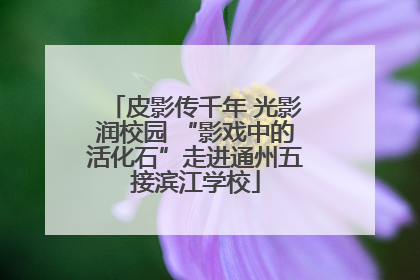 皮影传千年 光影润校园 “影戏中的活化石”走进通州五接滨江学校