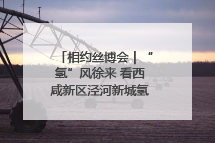 相约丝博会｜“氢”风徐来 看西咸新区泾河新城氢能产业聚链成势