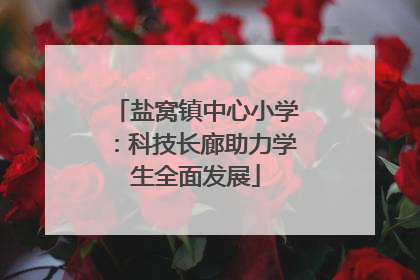 盐窝镇中心小学：科技长廊助力学生全面发展