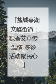 盐城亭湖文峰街道：粽香艾草传温情 多彩活动聚民心
