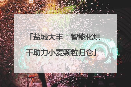 盐城大丰：智能化烘干助力小麦颗粒归仓