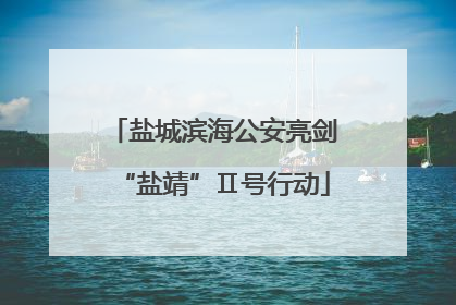 盐城滨海公安亮剑“盐靖”Ⅱ号行动