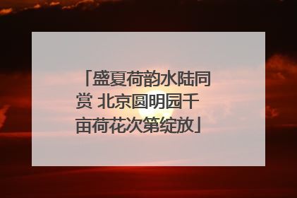 盛夏荷韵水陆同赏 北京圆明园千亩荷花次第绽放
