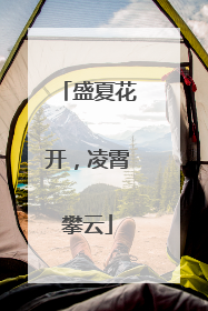 盛夏花开，凌霄攀云