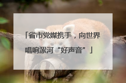 省市党媒携手，向世界唱响漯河“好声音”