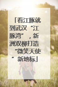 看江豚就到武汉“江豚湾”，新洲双柳打造“微笑天使”新地标