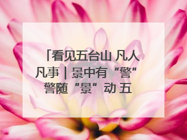 看见五台山 凡人凡事｜景中有“警” 警随“景”动 五台山景区“看得见”的平安守护